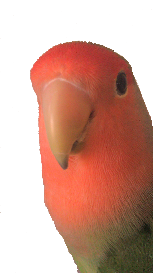 wpfa36e851.png